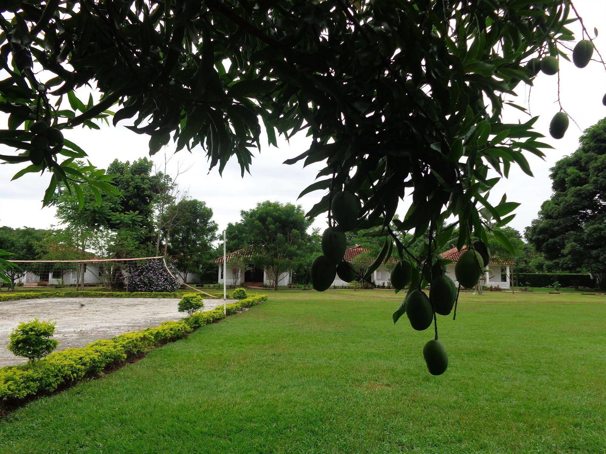 Hotel Campestre Arboretto Villavicencio Exterior foto