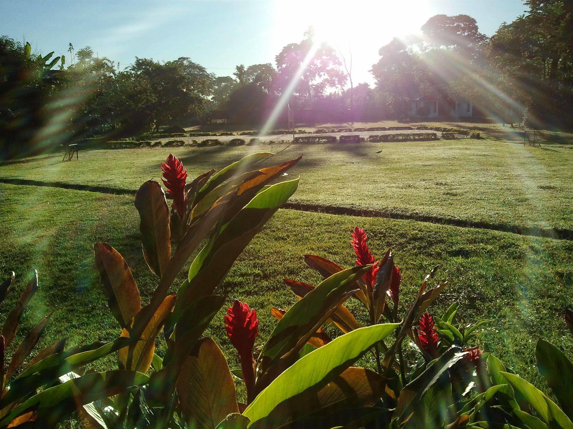 Hotel Campestre Arboretto Villavicencio Exterior foto