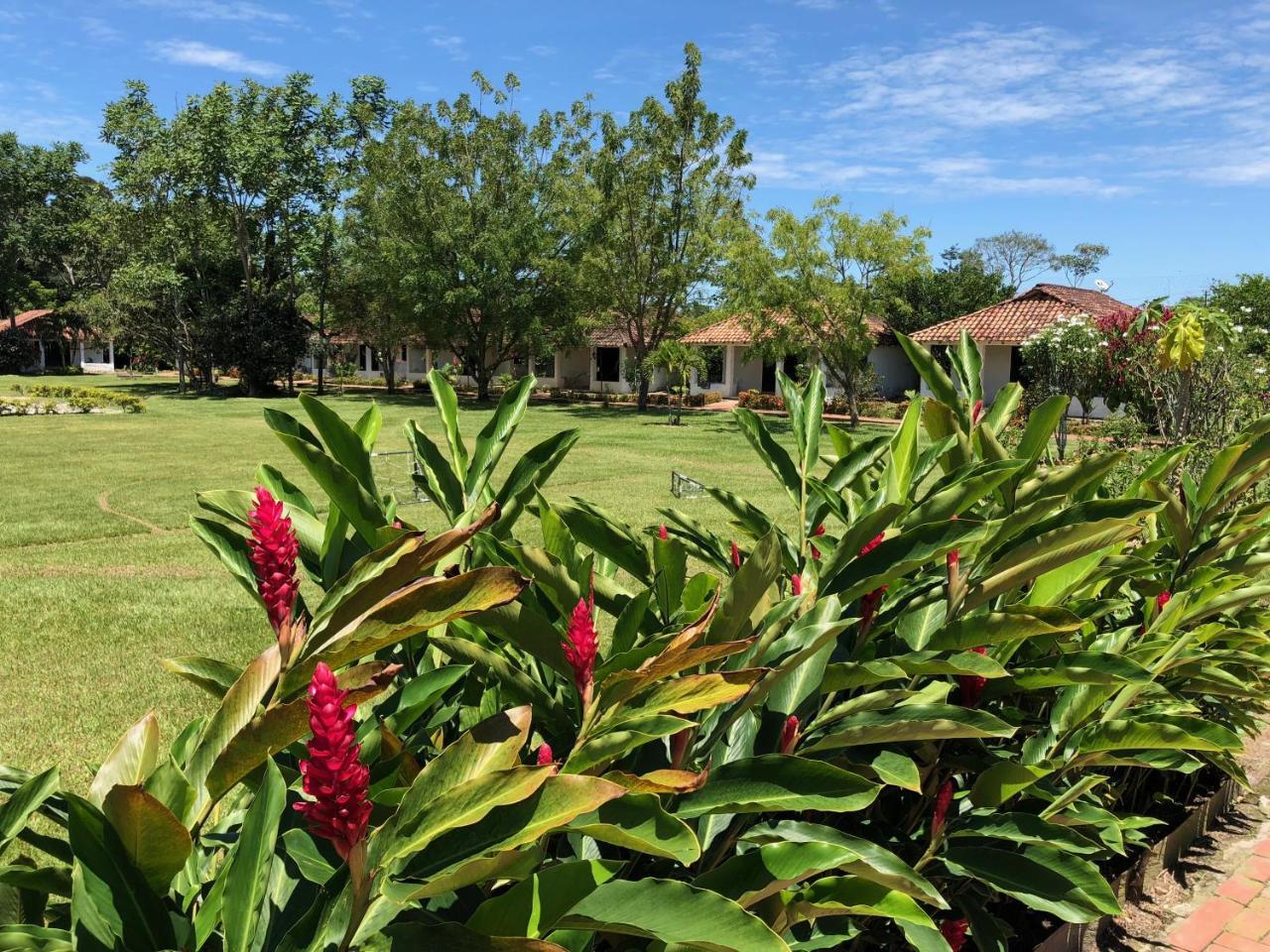 Hotel Campestre Arboretto Villavicencio Exterior foto